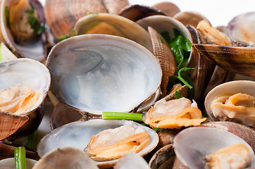 Image showing Cooked clams