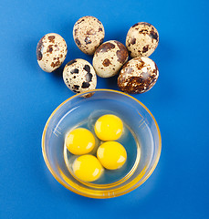 Image showing Quail eggs on blue