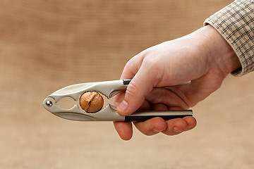 Image showing Walnut breaking