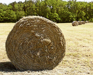 Image showing bale hay