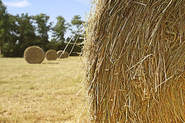 Image showing hay bale