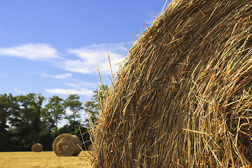 Image showing bale and blue sky