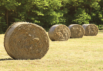 Image showing fine bales background