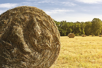 Image showing bales background