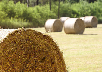 Image showing closeup of hay bale