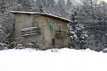 Image showing little house in the forest