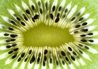 Image showing fine image close up of kiwi background detail