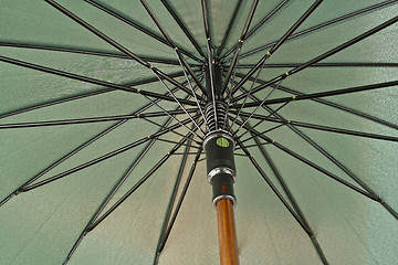 Image showing umbrella detail