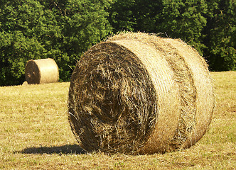 Image showing rural scene of bales