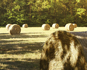 Image showing hay bale in the fiedl