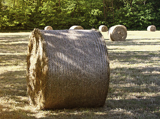 Image showing fine bale hay background