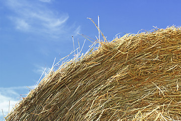 Image showing bale and sky