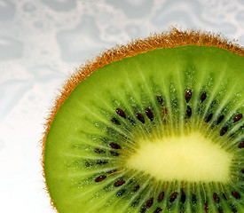 Image showing fine image close up of kiwi background