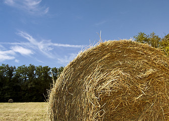 Image showing hay bale and sky