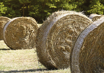 Image showing fiedl and bales