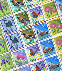 Image showing bird stamp