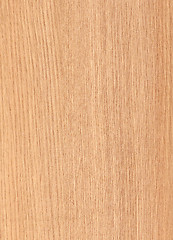 Image showing wood texture