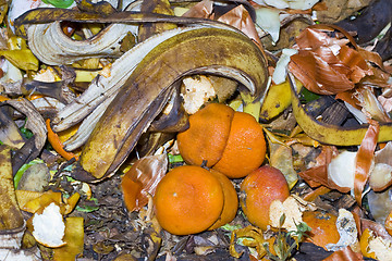 Image showing vegetable garbage