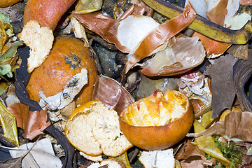 Image showing vegetable waste