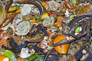 Image showing garbage vegetable