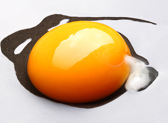 Image showing raw egg