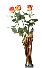 Image showing Red roses in vase, isolated