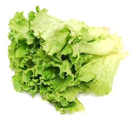 Image showing lettuce