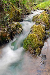 Image showing Forest waterfall