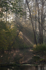 Image showing Autumnal misty morning by forest river