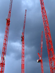 Image showing Four red cranes