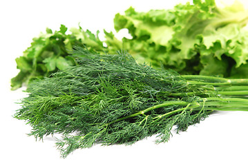 Image showing lettuce and dill