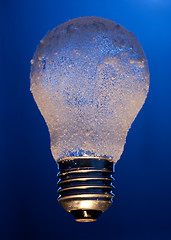 Image showing Frozen light bulb