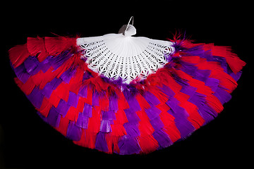 Image showing feather fan accessory