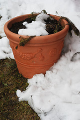 Image showing flowerpot covered with snow