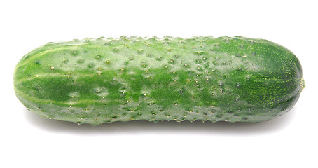 Image showing cucumber 