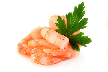 Image showing Shrimp