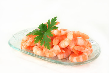 Image showing Shrimp