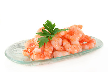 Image showing Shrimp