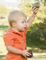 Image showing Cute Young Baby Boy with Pine Cones in the Park