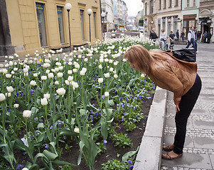 Image showing beautiful girl and flowers, looking at the flowers,