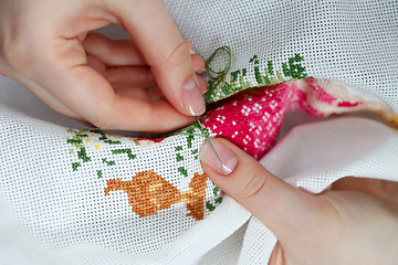 Image showing Cross-stitching