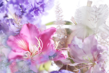 Image showing beautiful flowers made with soft focus