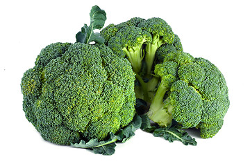 Image showing fresh raw broccoli isolated on white background 