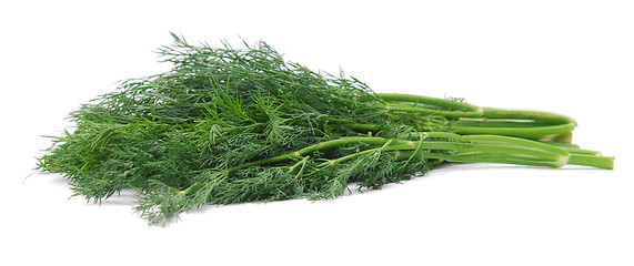 Image showing fresh dill