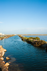 Image showing Salt marsh