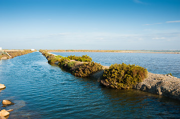 Image showing Salt marsh