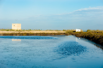 Image showing Salt marsh