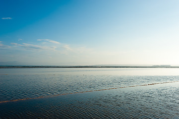 Image showing Salt marsh