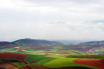 Image showing Field landscape