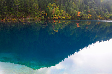 Image showing Forest and lake landscape of China jiuzhaigou